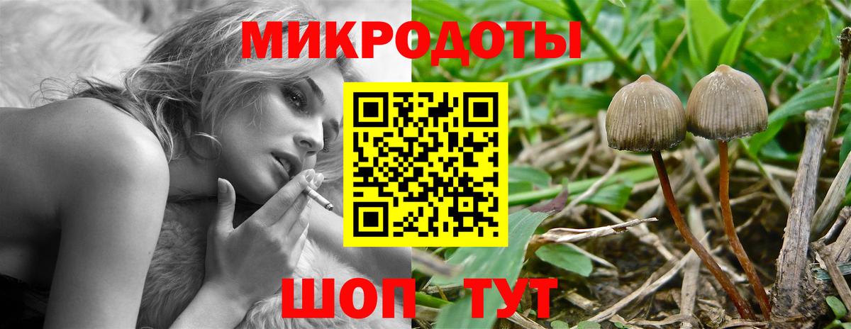 Галлюциногенные грибы Cubensis Шали