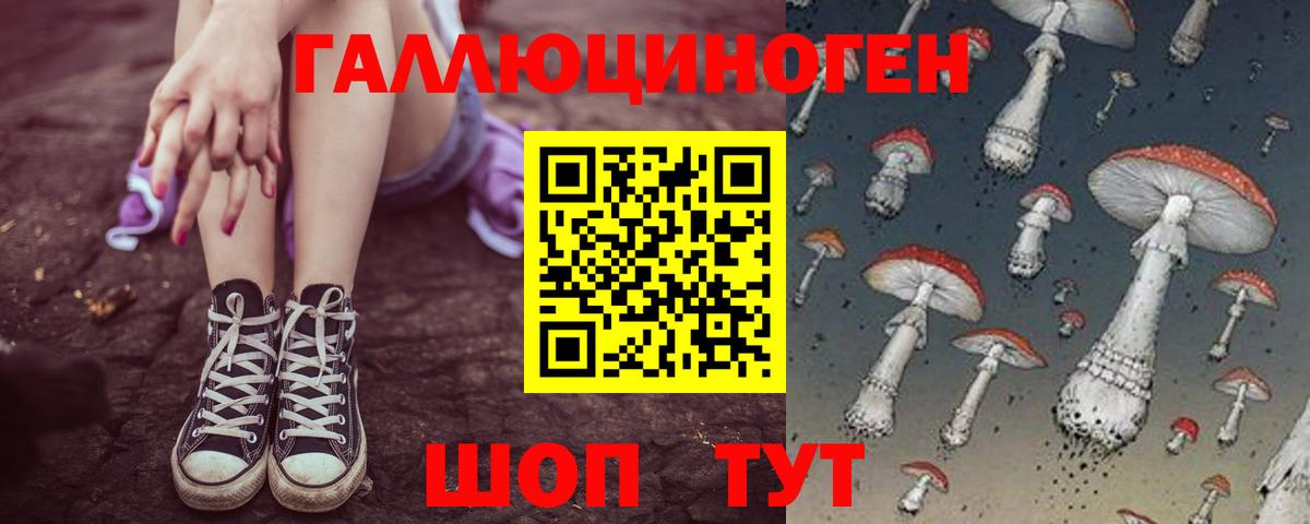 Галлюциногенные грибы прущие грибы  Галлюциногенные грибы MAGIC MUSHROOMS  цена наркотик  Вход с VPN  Шали 